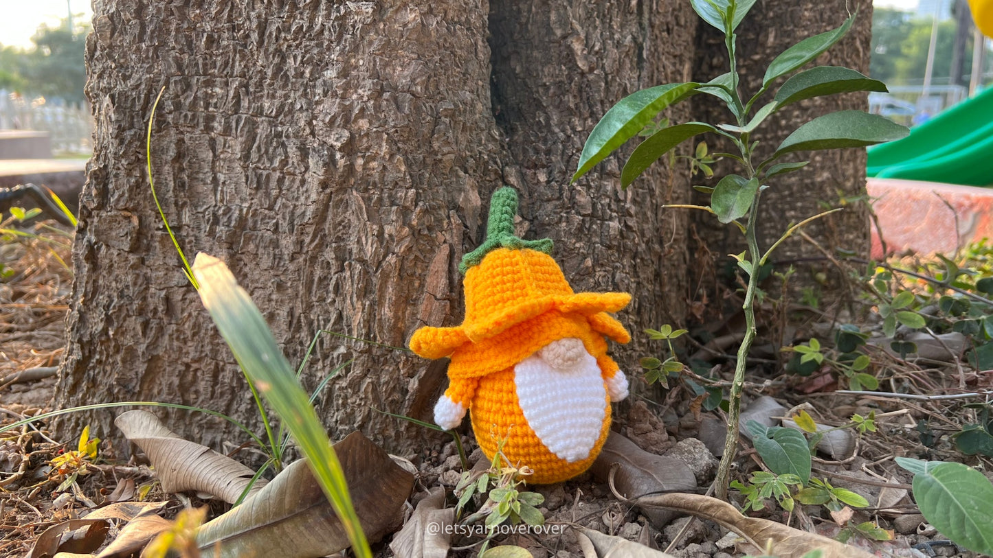 Gnomes